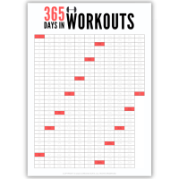 365 DAYS IN WORKOUTS
